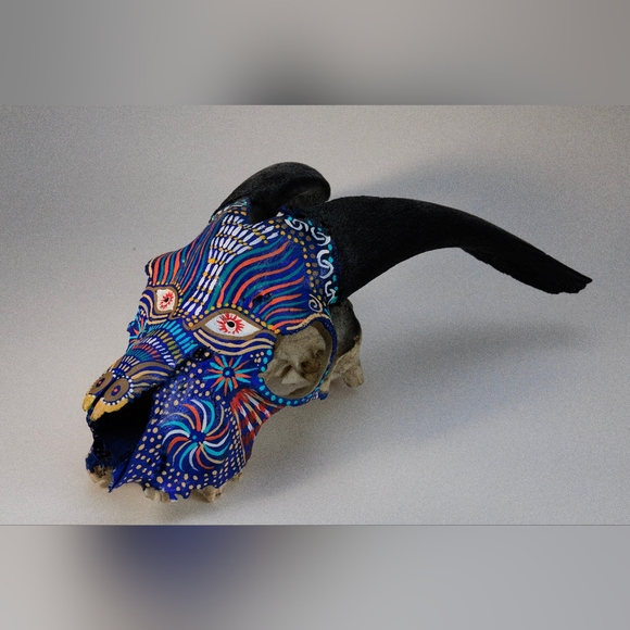 Real Handpainted Large Goat Skull - Picture 1 of 16